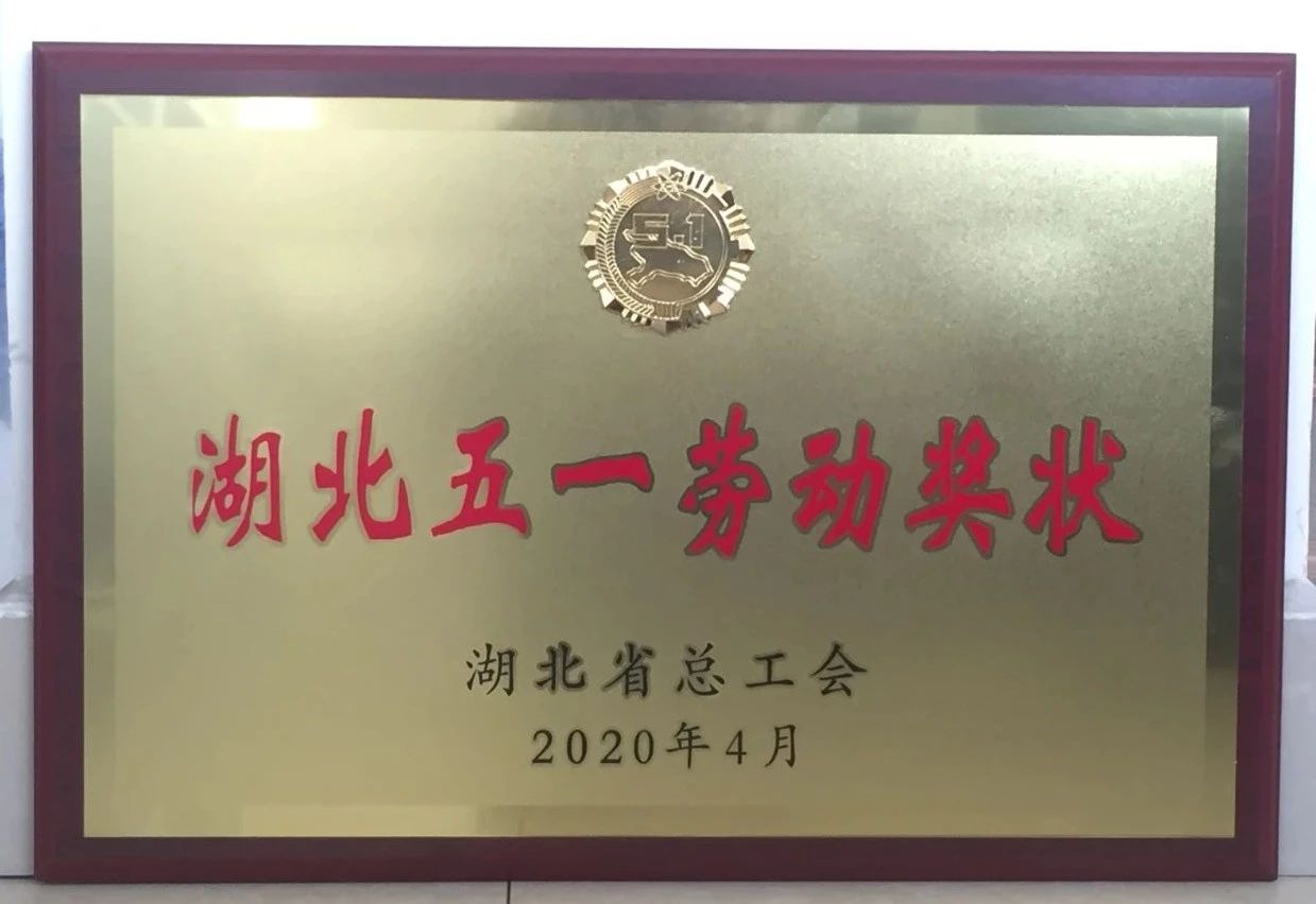 喜讯||LEJING.COM(中国)有限公司重工又获省级殊荣